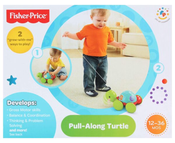 Fisher Price Pull Along Turtle-0