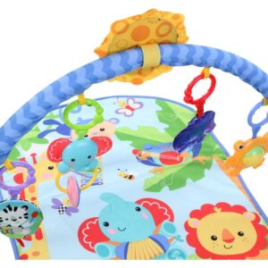 Fisher Price Kick and Play Piano Gym-1720