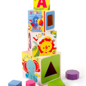 Fisher Price Shape Sorter Stacking Blocks - Wooden Toy-3889