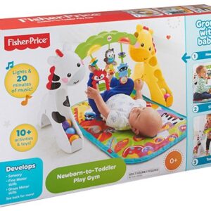 Fisher Price Newborn to Toddler Play Gym - Multi Color-1698