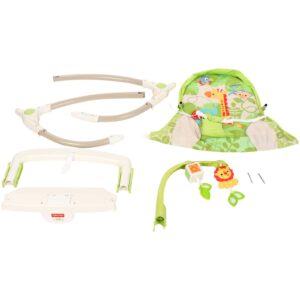 Fisher Price New Born To Toddler Portable Rocker With Free Diaper Bag - Green-1659