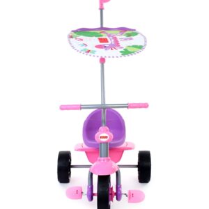 Fisher Price Tricycle Glee Plus - Violet-1377
