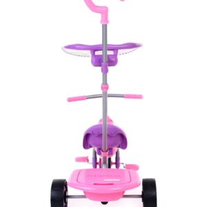 Fisher Price Tricycle Glee Plus - Violet-1381