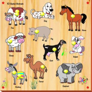 Kinder Creative 10 Useful Animals with Knobs - KCS05-0