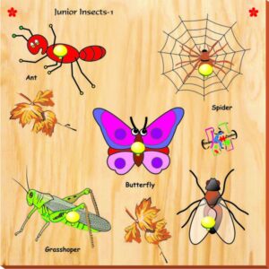 Kinder Creative Junior Insects Tray-0