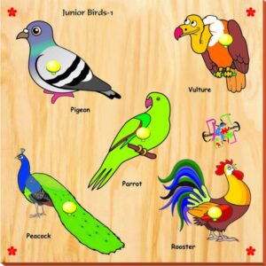 Kinder Creative Junior Birds with Tray - KCS17-0