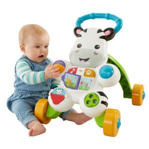 Fisher Price Learn with Me Zebra Walker - Multicolor-3854