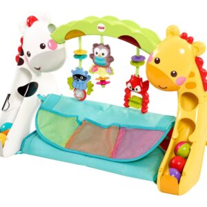 Fisher Price Newborn to Toddler Play Gym - Multi Color-1699