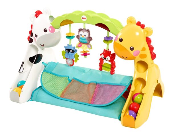 Fisher Price Newborn to Toddler Play Gym - Multi Color-1699