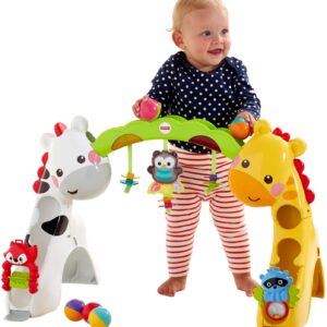 Fisher Price Newborn to Toddler Play Gym - Multi Color-1697