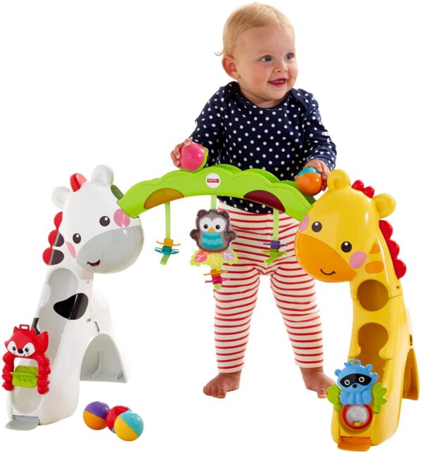 Fisher Price Newborn to Toddler Play Gym - Multi Color-1697