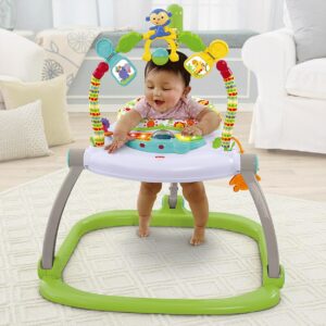 Fisher Price Rainforest Friends Spacesaver Jumperoo Baby Bouncer - Multicolor-0