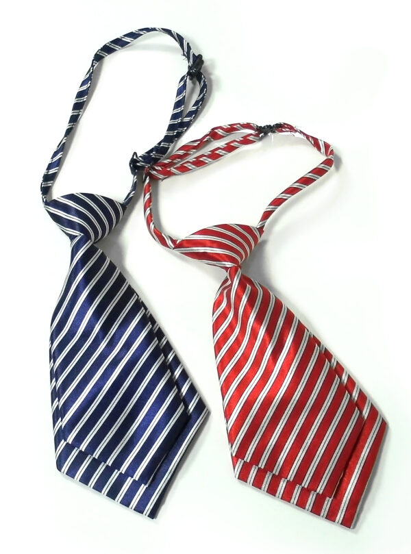 Babys World line Print Tie Pack Of 2 - Red & Blue-0