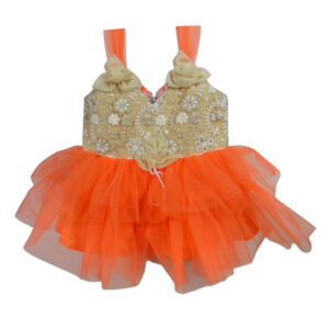 Net Overlay Fancy Dress (Frock) - Orange-0