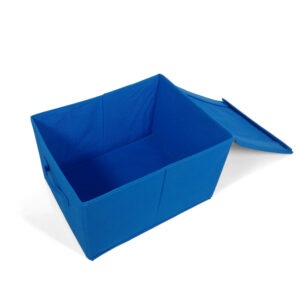 Rectangle Shape Foldable Storage Box - Blue-5293