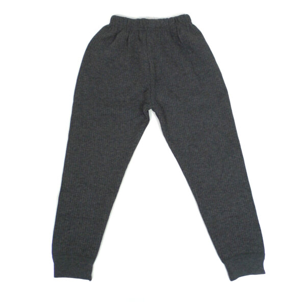 Bodycare Insider Thermal Inner Wear (Bottom) - Grey-0