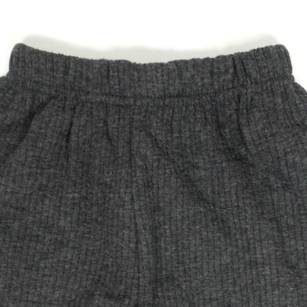 Bodycare Insider Thermal Inner Wear (Bottom) - Grey-6043