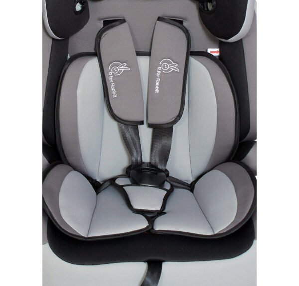 R for Rabbit Jumping Jack - The Growing Baby Car Seat-6856