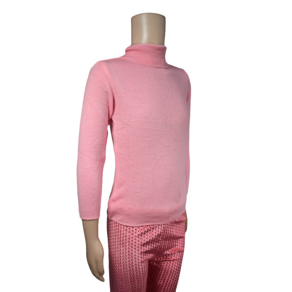 Full Sleeve High Neck Skivvy - Pink-6626