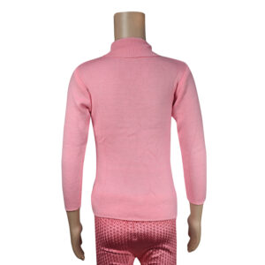 Full Sleeve High Neck Skivvy - Pink-6627