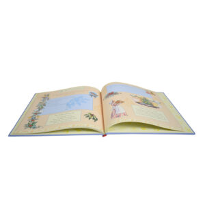 Baby Record Book - Blue-7790