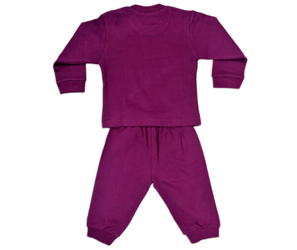 Zero Full Sleeves Rib Vest & Pant (Set) - Purple-13535