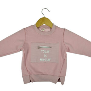 Rabbit Applique Sweat Shirt - Pink-15637