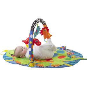 Playgro Dinosaur Playgym - Multicolor-21268