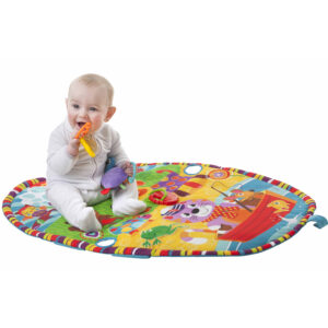 Playgro Play In The Park Gym - Multicolor-21242