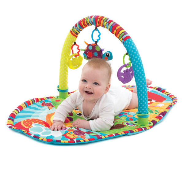 Playgro Play In The Park Gym - Multicolor-21241