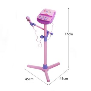 Buddy Fun Dream Star Karaoke Microphone - Pink-21438