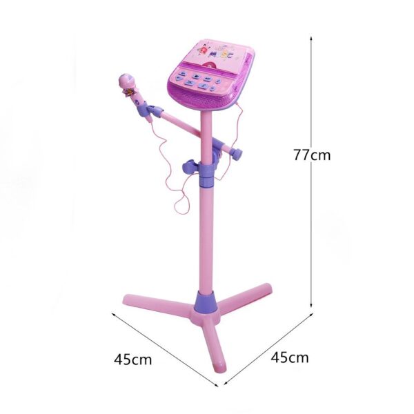 Buddy Fun Dream Star Karaoke Microphone - Pink-21438