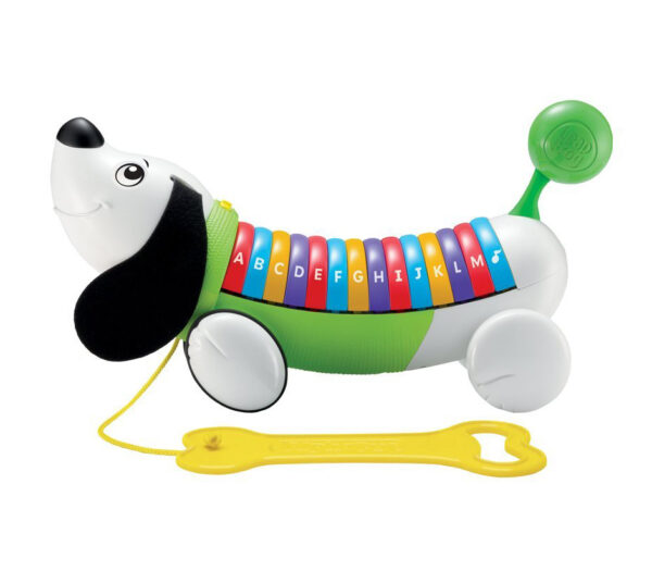 LeapFrog AlphaPup Scout - Multi Color-0