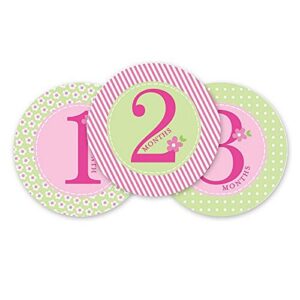 Pearhead Baby Milestone Stickers, Pink-23024