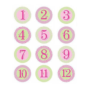 Pearhead Baby Milestone Stickers, Pink-23020