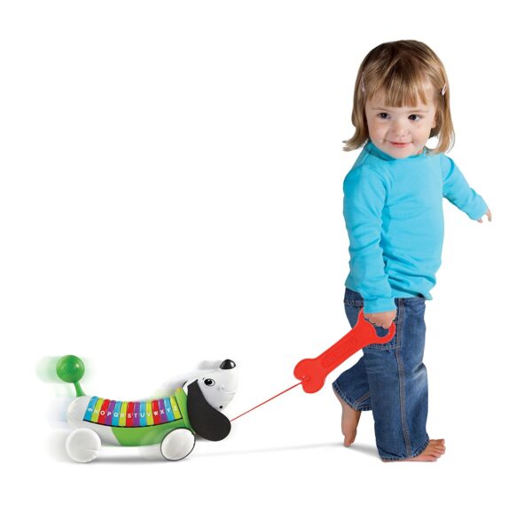 LeapFrog AlphaPup Scout - Multi Color-22048