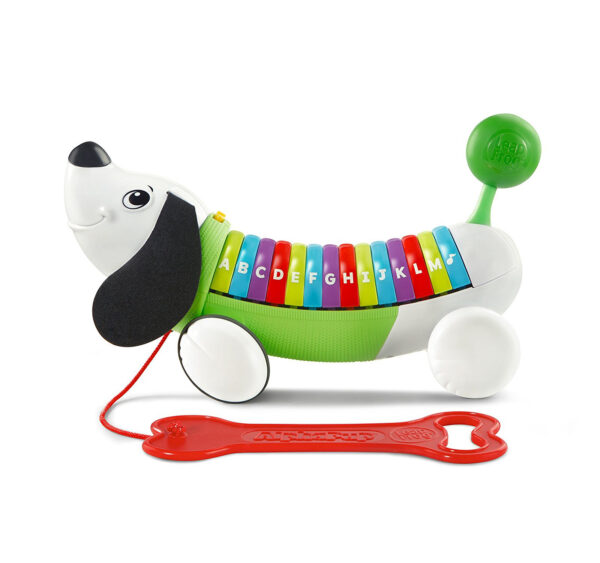 LeapFrog AlphaPup Scout - Multi Color-22053