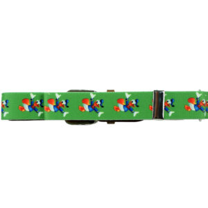 Italy Stretchable Kids Belt (Donald Duck) - Green-23962