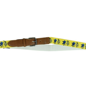 Italy Stretchable Kids Belt (Minions) - Yellow-23974