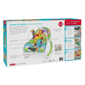 Fisher Price Newborn to Toddler Rocker - Lion & Monkey-25080