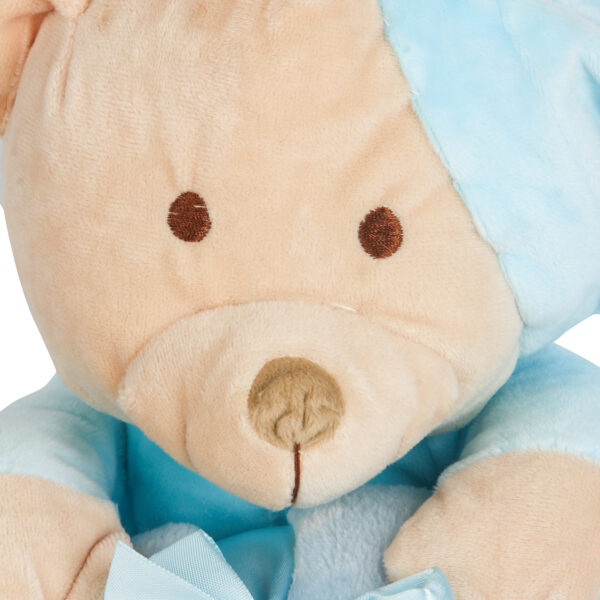 Soft plush toy with Blanket -26748
