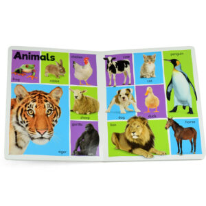 101 First Words, Learning Book with Colorful Photographs-27537