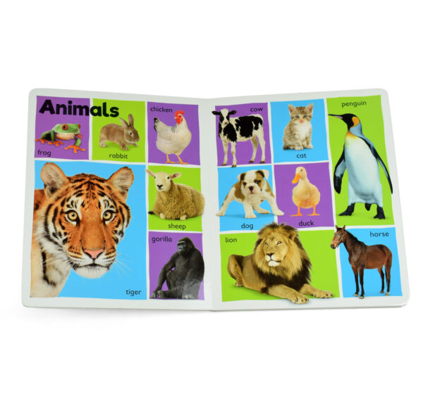 101 First Words, Learning Book with Colorful Photographs-27537
