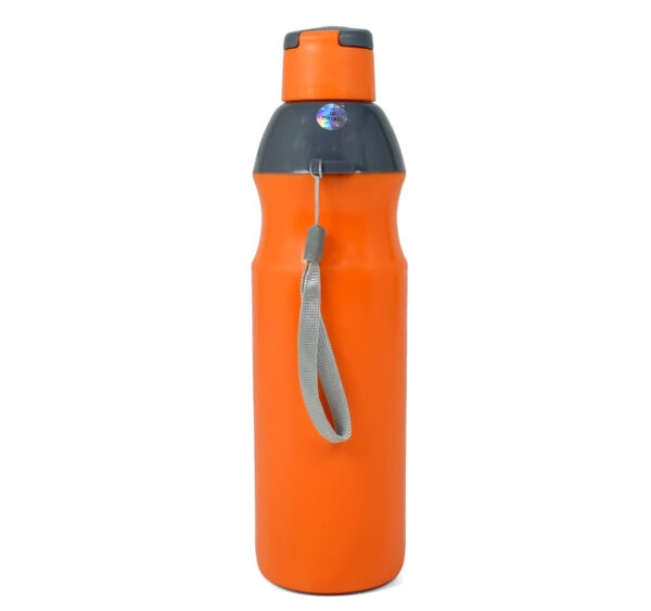 Nayasa Insulated The Trekking Bottle 700ml - Orange-27900