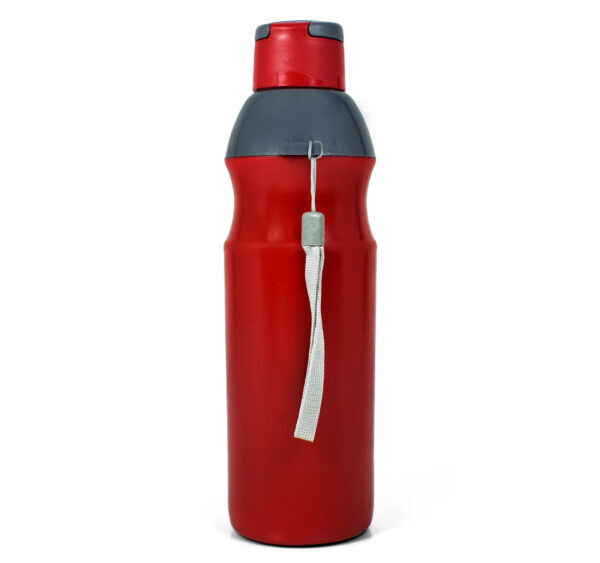 Nayasa Insulated The Trekking Bottle 700ml - Red-27906