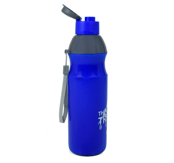 Nayasa Insulated The Trekking Bottle 700ml - Blue-27917