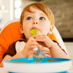 Munchkin Stay Put Divided Suction Plates - Blue/Green -30701