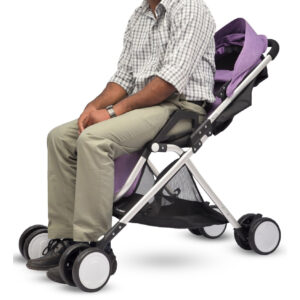 R for Rabbit Giggle Wiggle - The Feather Lite Stroller (Purple)-32788