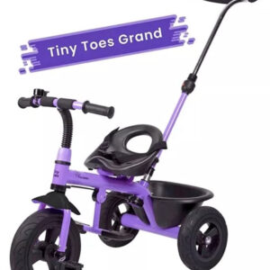 R for Rabbit Tiny Toes Grand The Smart Plug N Play Tricycle - Purple-0