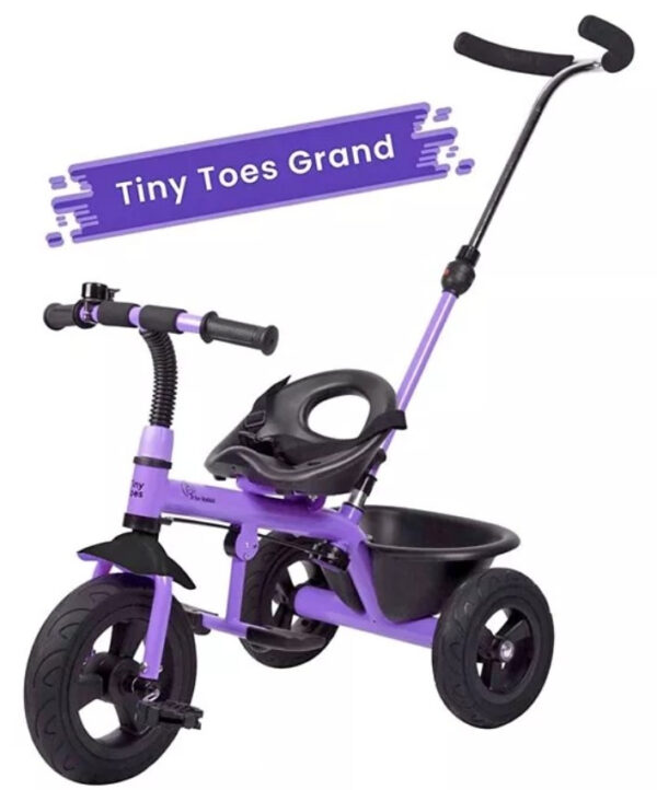 R for Rabbit Tiny Toes Grand The Smart Plug N Play Tricycle - Purple-0